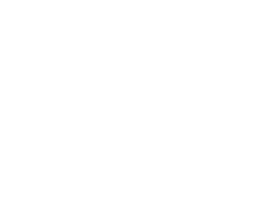 BLACKHOLE Logo